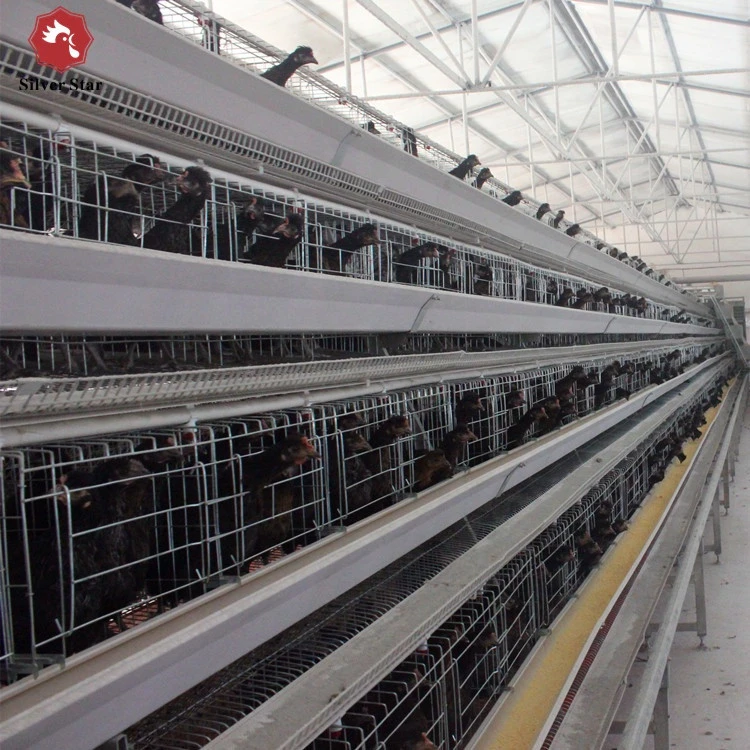 chicken cage long life-span anti-rust wire mesh animal cage for layers and broilers