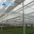 Import China cheap commercial plastic film vegetable greenhouse for sale from China