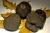 Import China good price truffles mushrooms for sale in bulk supplying from China