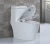 Import China sanitary ware factory supply one piece siphonic toilet ceramic from China