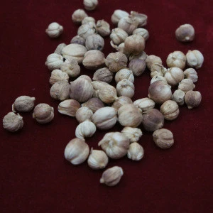 China Spices &amp; Herbs Supplier wholesales ground cardamom green cardamom pods price chinese cardamom pods with high quality