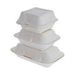 China Sugarcane Biodegradable Disposable Dinnerware Set