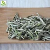 Chinese best  silver needle white tea brands ,slimming white silver needle tea