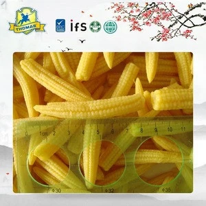 Chinese canned sweet baby corn market price