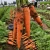 Import Chinese fresh carrot new crop wholesale export from China