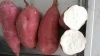 Chinese Fresh Sweet Potato , Red / Yellow / Purple Skin Sweet Potatoes.