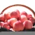 Import chinese red fuji apples bulk wholesale from China