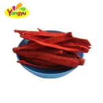 Chinese special Dried Mango without flesh