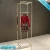 Import chrome gold stainless steel display rack for garment from China