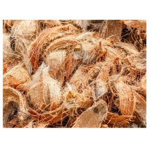 Coconut fiber Bulk Quantity High quality cheap rate Wholesale Dealer