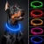 collar dog led Safety Accesorios LED Nylon USB Rechargeable Flashing pet supplies led-collars-for-dogs-dog-sex