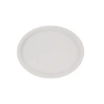 compostable dishware take away plates for restaurant,  disposable plates for dinner, 10 inch bagasse oval plate