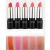 Import Custom Plastic Container Colors Moisture Keep Your Lips Soft Lipstick from China