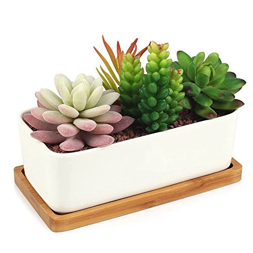 Decorative Garden White Ceramic Succulent Planter Ceramic Cactus Flower Pot Plant Pot with Bamboo Tray (Rectangular)