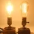 Import Dimmable Retro Led Filament Light Bulb ST64 2W 4W 6W 8W Edison Led Bulb 110V 220V from China