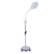 Import Dimming Adjustable 8X Magnify Cold Light Embroidery Floor Lamp LED Beauty Light Embroidery lights for Nail Tattoo Salon Lamp from China