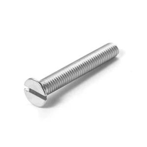 DIN 963 SS Slotted countersunk head machine screws