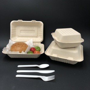 disposable dinnerware sets sugarcane bagasse takeout lunch box biodegradable fast food paper packaging for to go