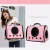 Import Dog Cat Space Capsule Shaped Backpack Pet Travel Bag, Pet Transport Carrier from China