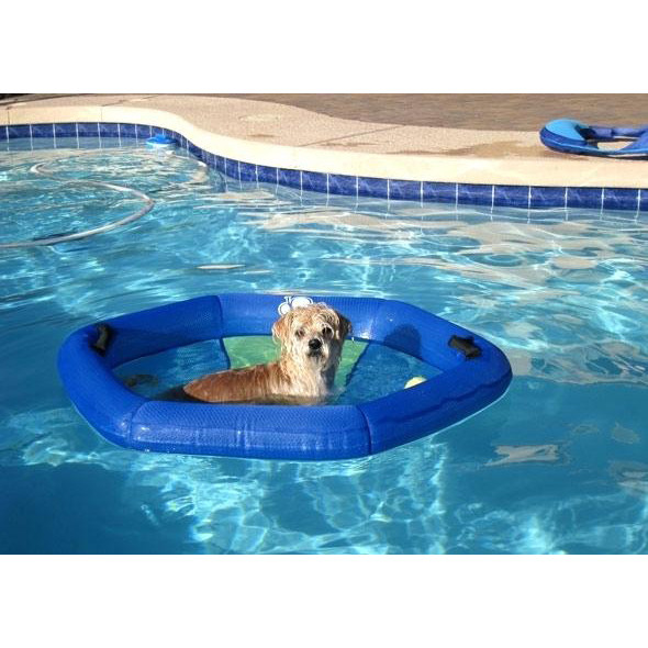 Pool Raft For Dogs Buy Dog Pool Float Inflatable Ride On Paw Raft For Pets Swimming from ...