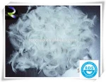 Down &amp feather 2-4/4-6/6-8cm washed white goose feather