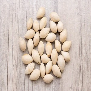 dried Ginkgo Nuts For Sale