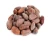 Import Dried Grade A Cocoa/ Cacao/ Chocolate bean from USA
