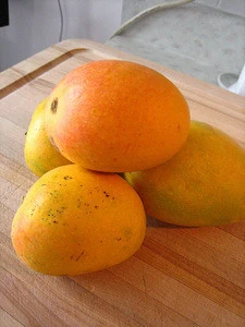 egyption mango