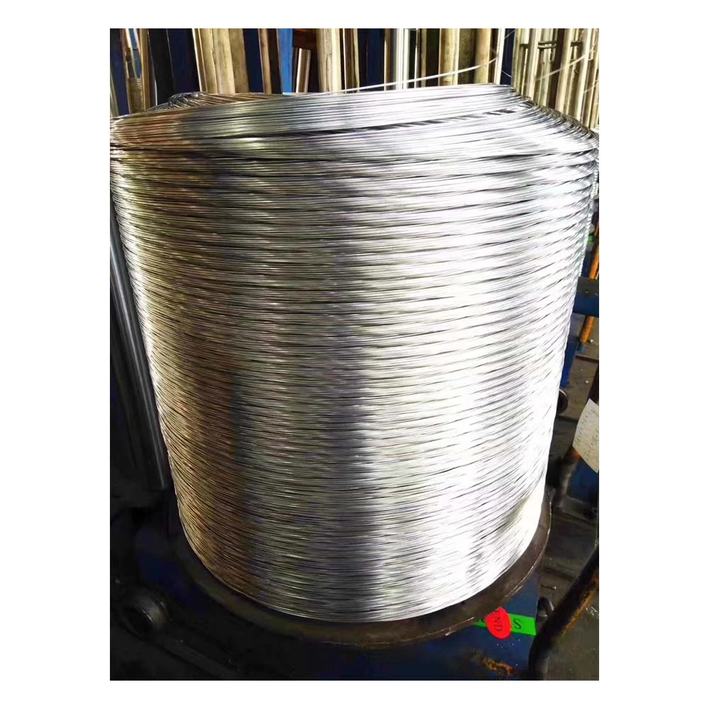 Electro Galvanized Steel Wire 3mm Hot Galvanized Iron Wire