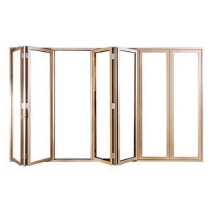 Entire Wall Open Finished Aluminum Frame Double Glass Folding Door