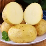 export high quality natural fresh cheap holland potato