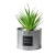 Import factory direct sale artificial green plants pot plant simulation plants with LDPE  pot home decor from China