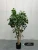 Import Factory manufacture various simulation plant tree tropical green plants tree simulated green plant from China