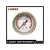 Import Factory Price Brand New Liquid Filled Pressure Gauge from China