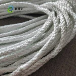 Factory Price Durable High Temperature Bag Filter Parts Fiberglass Rope