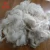 Import Factory price natural merino sheep wool fiber for carpet from China