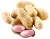 Import Factory Price New Crop Raw Peanuts in Shell from China