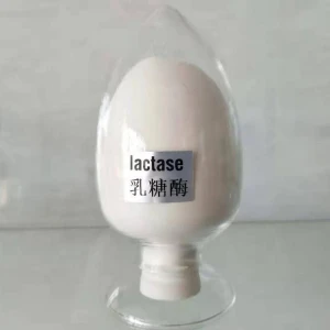 Factory Supply High Quality Acid Lactase, Fungal lactase, reduce lactose intolerance, 100000ALU/g