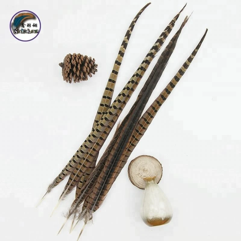 Factory Wholesale price Natural Ringneck Pheasant Tail Feathers (20-22inch)50-55CM  For Carnival Costumes Decorate and Hat