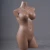 Import Fashion big breast window display headless manikin sexy lifelike curvy form bust female mannequin torso for sale from China