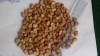 Fava Beans / Broad Beans 50- 80/100