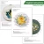 Import Flower Pattern DIY Embroidery Kit with Plastic Hoop Cross Stitch Needlework Sewing Art Handmade Embroidery Painting Home Decor from China