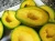 Import FRESH AVOCADO with Good price and HIGH QUALITY 2021 from Vietnam