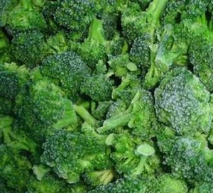 Fresh Broccoli Supplier