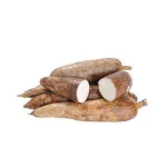 Fresh Cassava