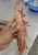 Import Fresh frozen giant tiger shrimps for bulk sales from France