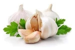 Fresh Garlic