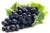 Import Fresh Grapes For Sell from South Africa