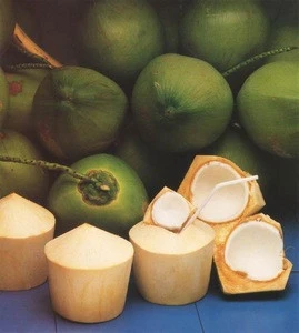 Fresh Green Young Coconuts