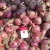 Import Fresh High Quality Red Onion from China